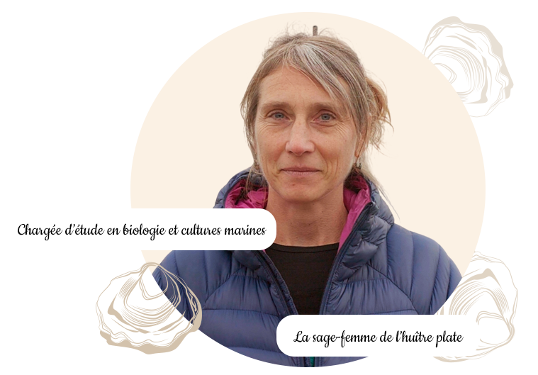 Portrait d'Hélène Cochet chargée d'étude en biologie et cultures marines spéclialiste de l'huître-plate dans le Morbihan