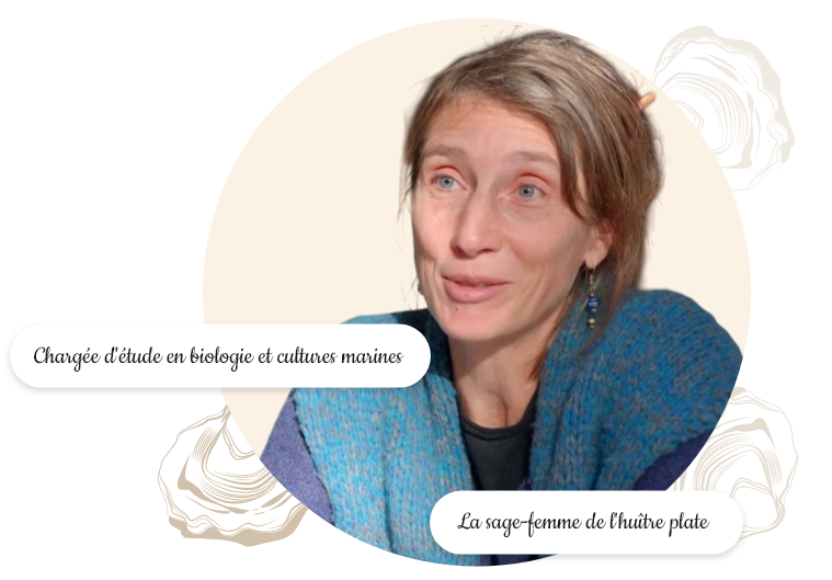 Portrait d'Hélène Cochet chargée d'étude en biologie et cultures marines spéclialiste de l'huître-plate dans le Morbihan
