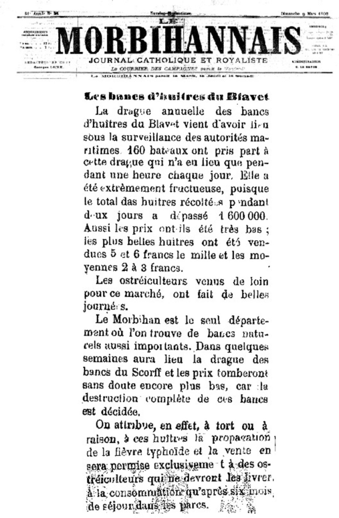 Article du journal Le Morbihannais mars 1902 - Cas de typhoïde attribués à l'huître