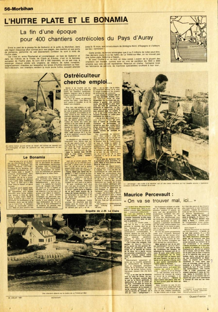 L'huître plate et le bonomia - Article Ouest-France du 10 juillet 1981
