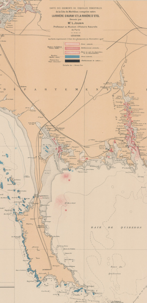 Carte des gisements de coquilles comestibles dans la Baie de Quiberon par Joubin en 1906