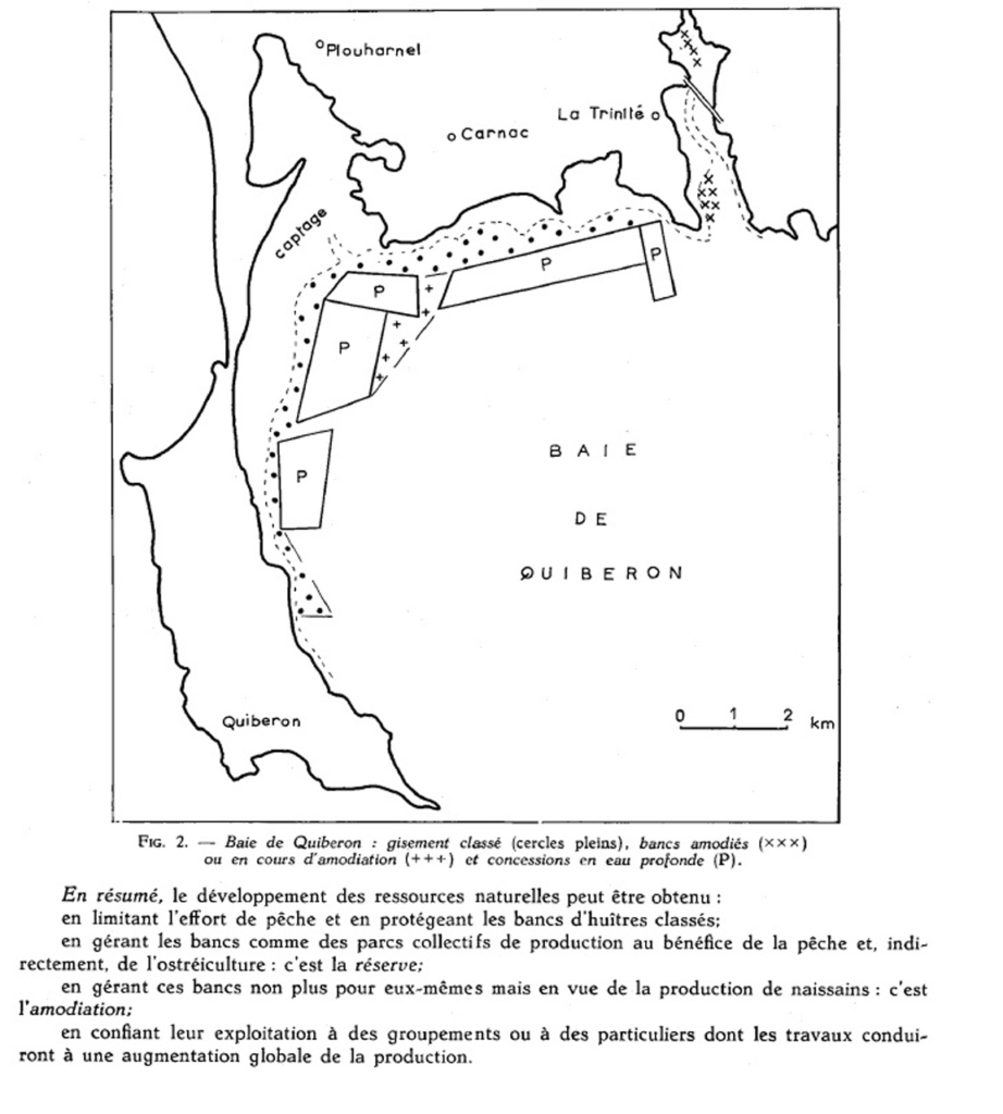 Carte extrait Marteil de 1966 - Gestion de la ressource