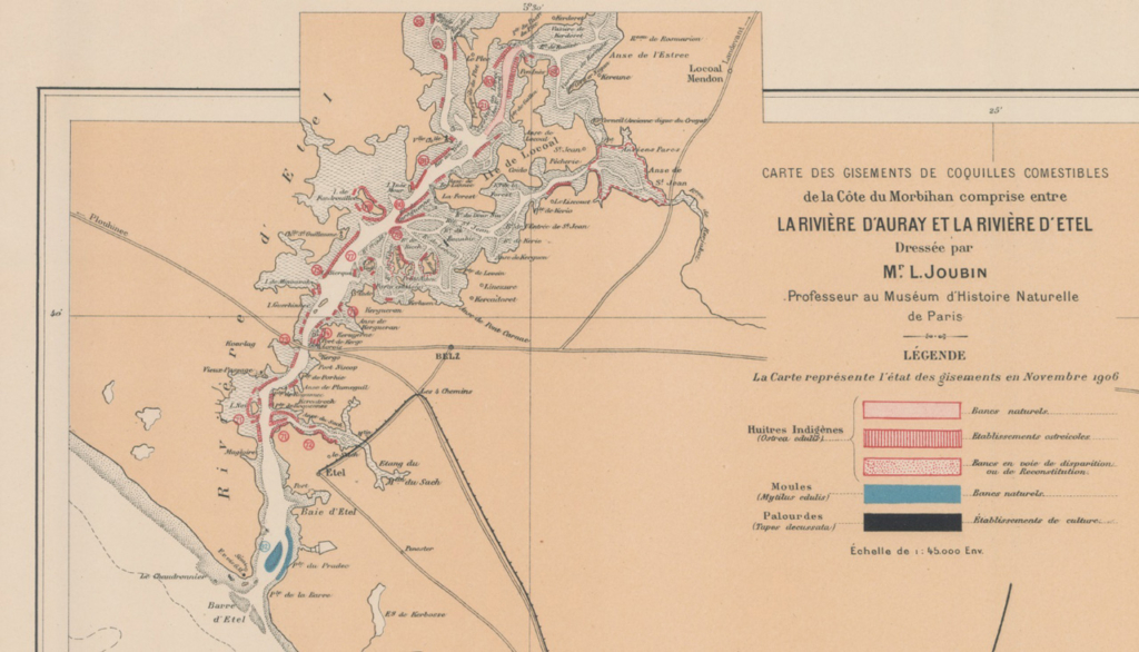 Carte de L. Joubin sur les gisements de coquilles dans la Ria d'Etel en 1906