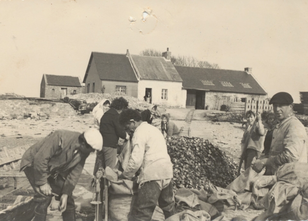 Ets Jegat chantier du Berno mise en sacs