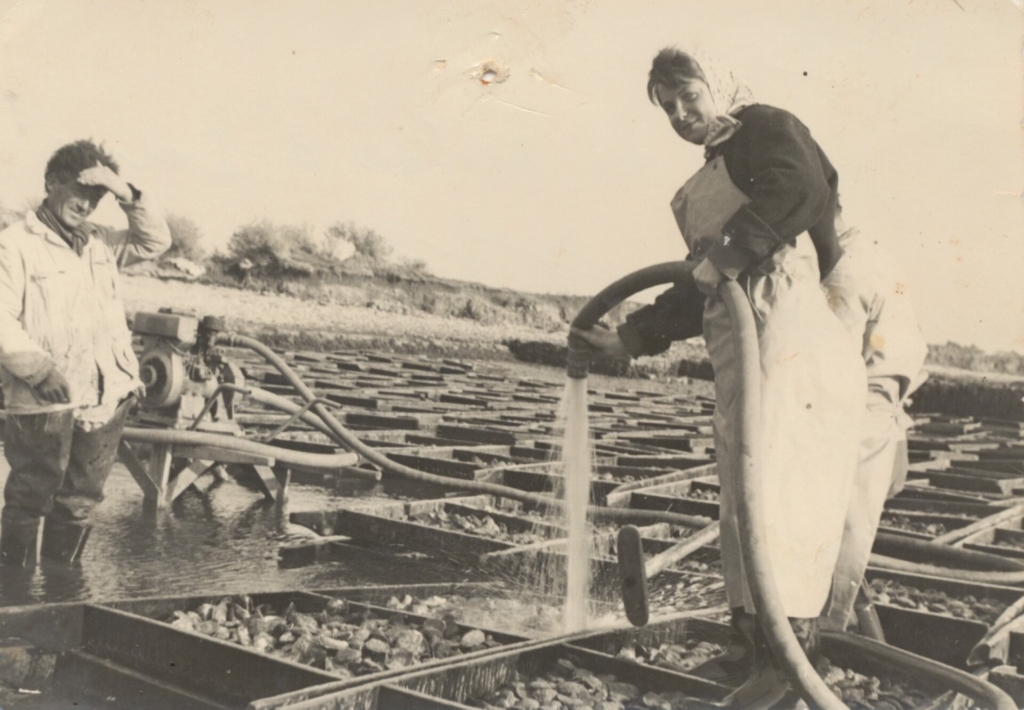 Ets Jegat lavage des huitres sur le chantier du Berno