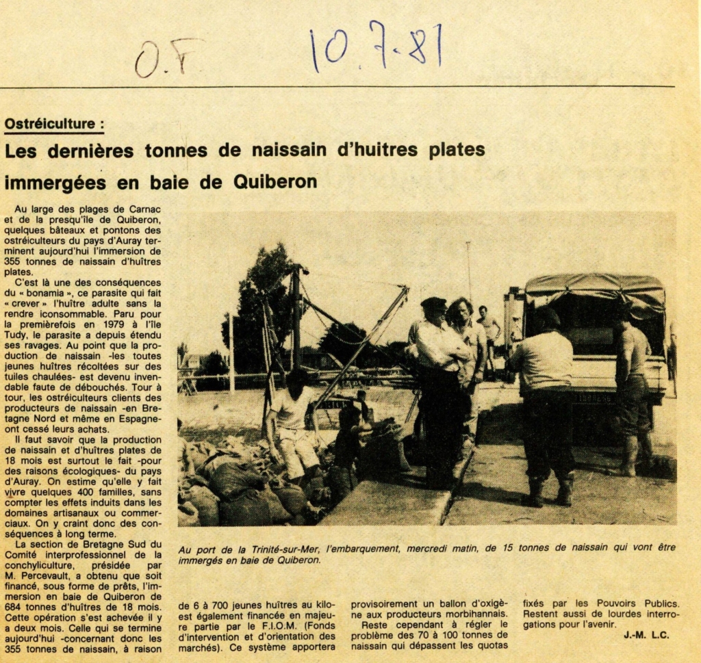 Immersion des naissains en Baie de Quiberon - Article Ouest-France de 10 juillet 1981