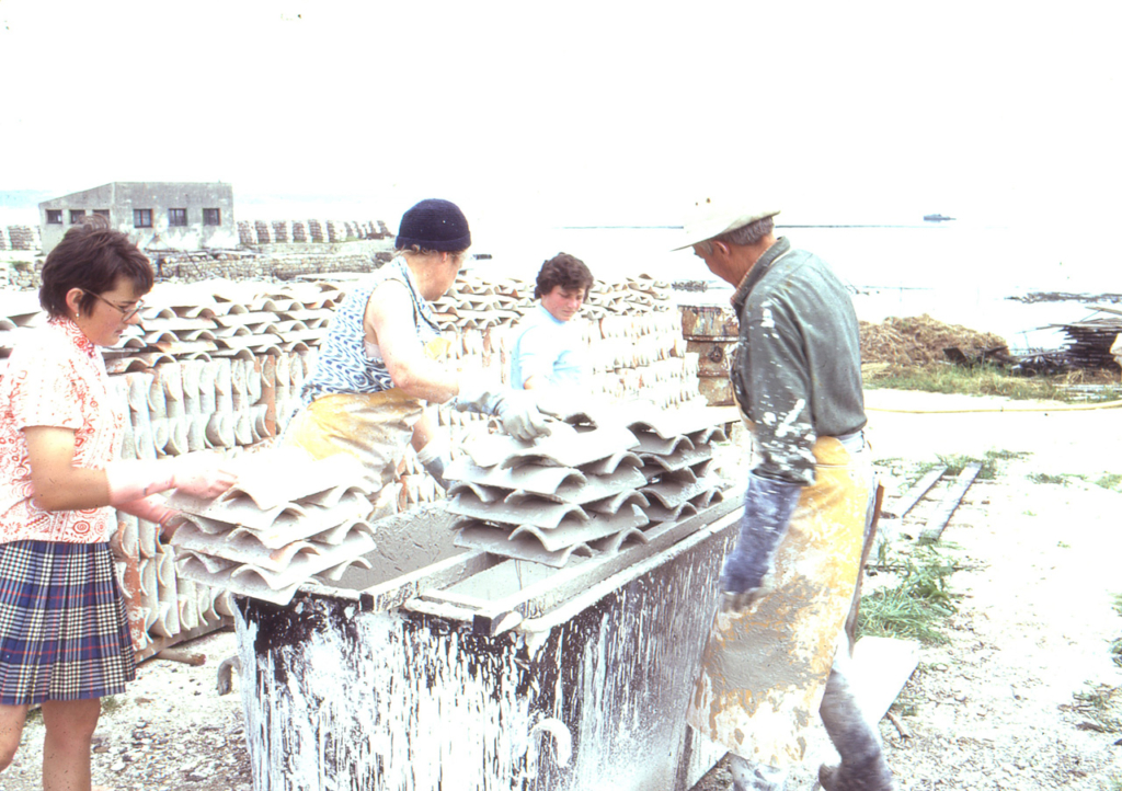 Chaulage des huîtres à Locmariaquer - juin 1971 - JP Cabelguen
