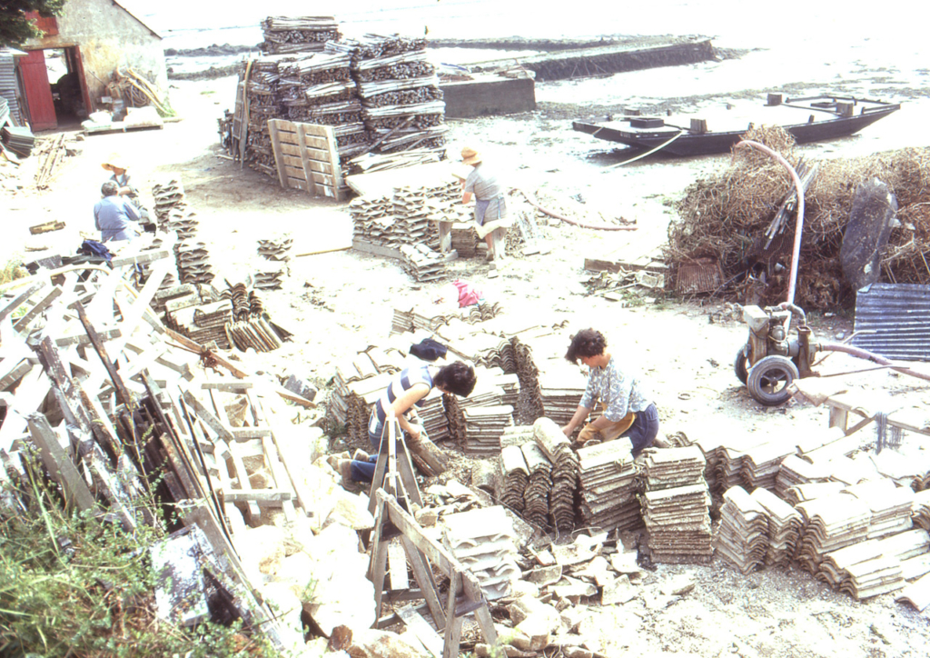 Chaulage des tuiles à Locmariaquer en juin 1971 - JP Cabelguen