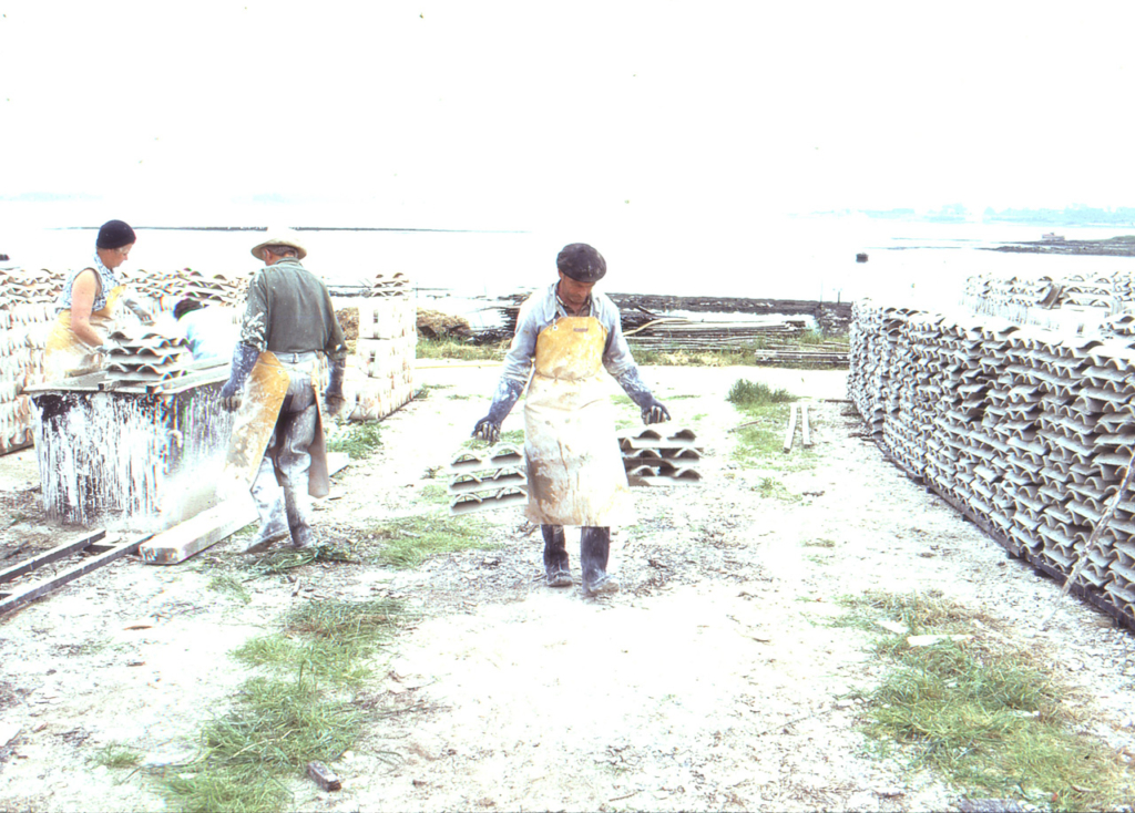 Chaulage des tuiles à Locmariaquer en juin 1971 - JP Cabelguen