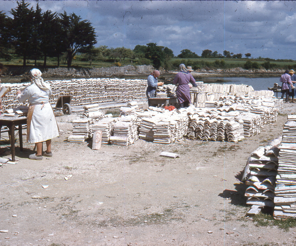 Confection de bouquets de tuiles à Locmariaquer en juin 1955 - JP Cabelguen