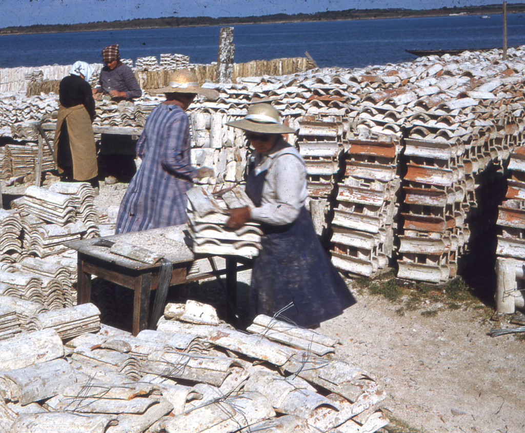 Confection de bouquets de tuiles à Locmariaquer en juin 1955 - JP Cabelguen