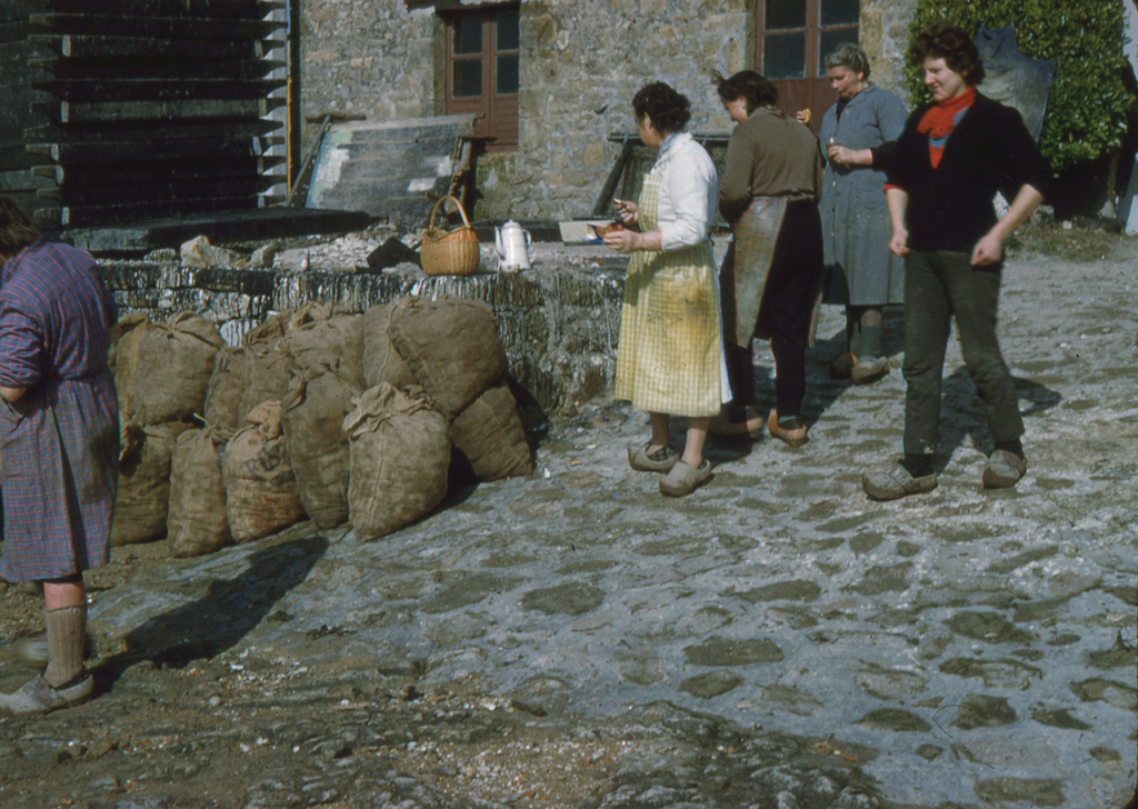 Livraison des huîtres à Locmariaquer - mars 1960 - JP Cabelguen