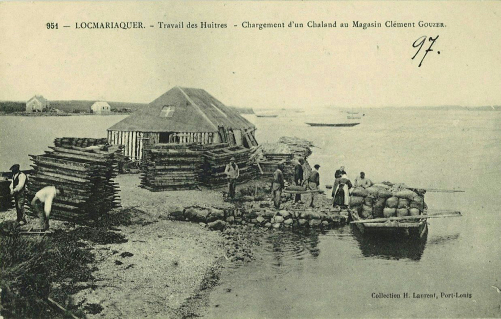 Carte postale du Travail des Huître à Locmariaquer - Chargement d'un Chaland
