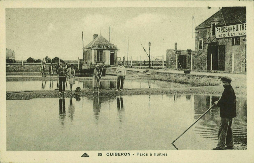 Carte postale du parc à huîtres Heroult Jeune à Saint-Pierre-Quiberon
