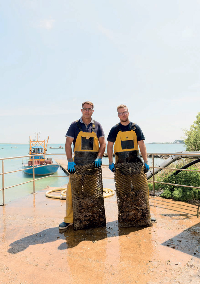 Stéphane et Alexandre Cailloce, juillet 2021. Naisseurs et éleveurs d’huîtres plates en rivière de Saint Philibert et en baie de Quiberon.