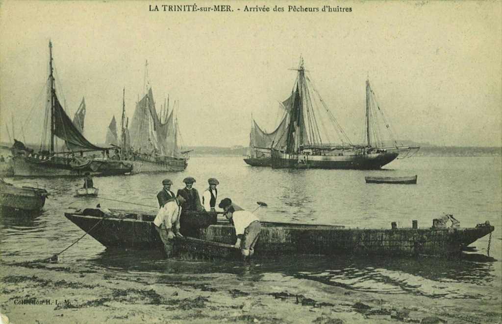 Arrivée des pêcheurs d'huîtres à La Trinité-sur-Mer