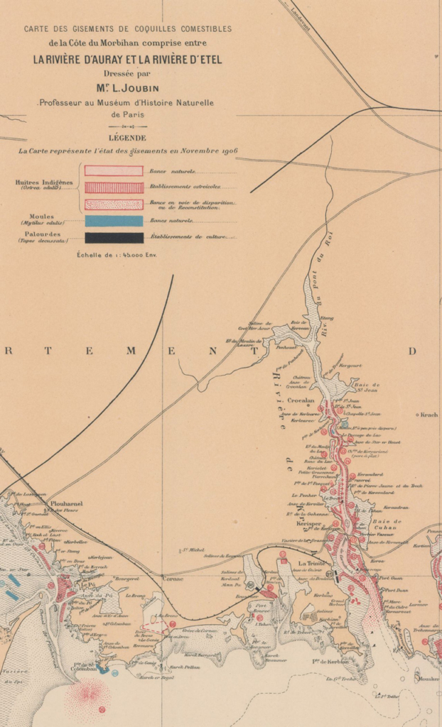 Carte des gisements en rivière de Crac'h pour Joubin en 1906