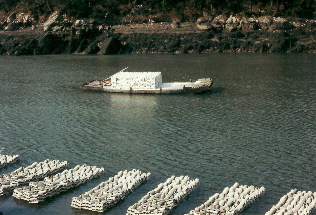 Bateau de pêcheur et tuiles d'huîtres plate en rivière de Crac'h en 1980