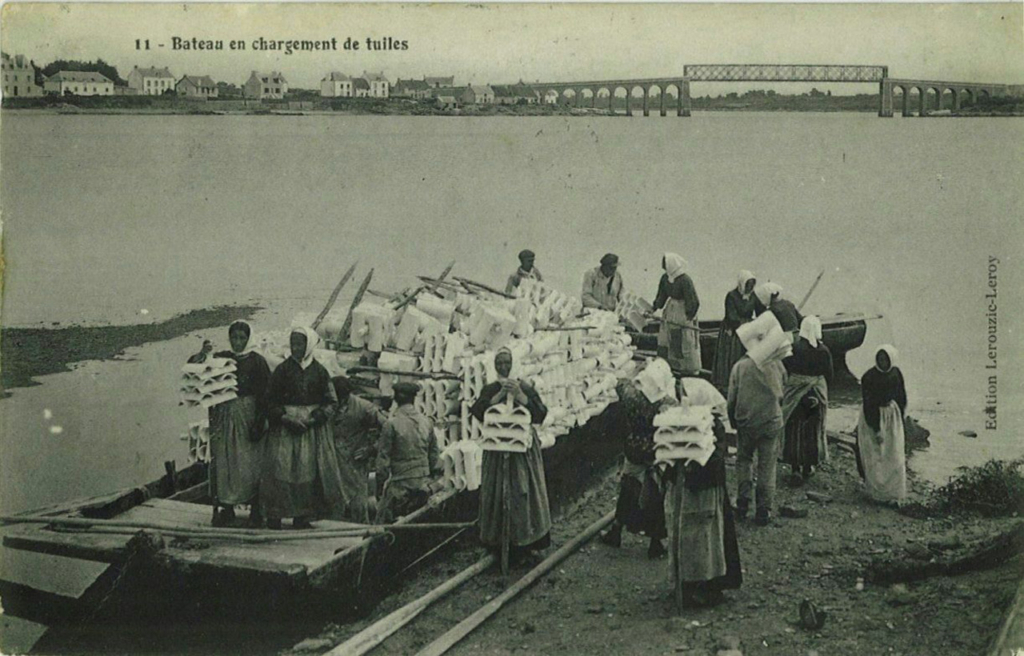 Pose des collecteurs d'huîtres plates à La Trinité-sur-Mer
