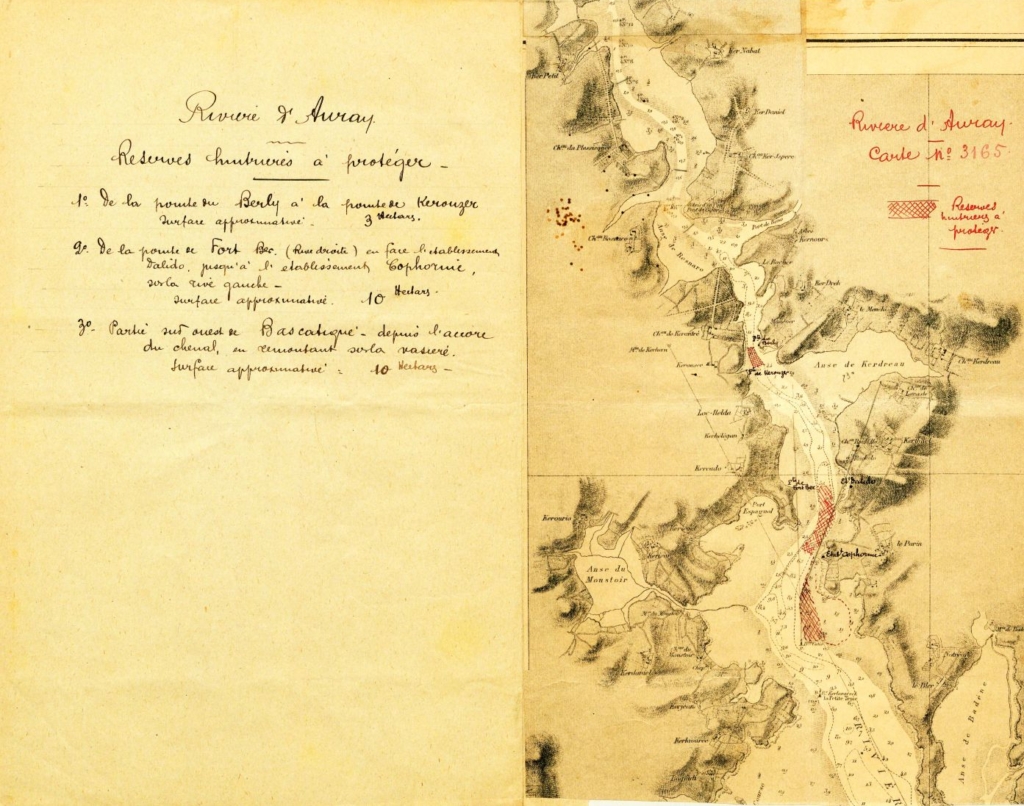 Huitrieres à protéger en Rivière d'Auray - 1924 (AD56)