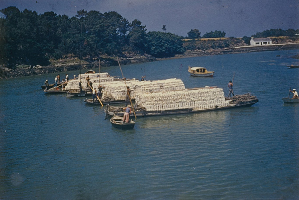 Ponton chargée de tuiles _Rivière de Crach (Source : Huîtres Henry)